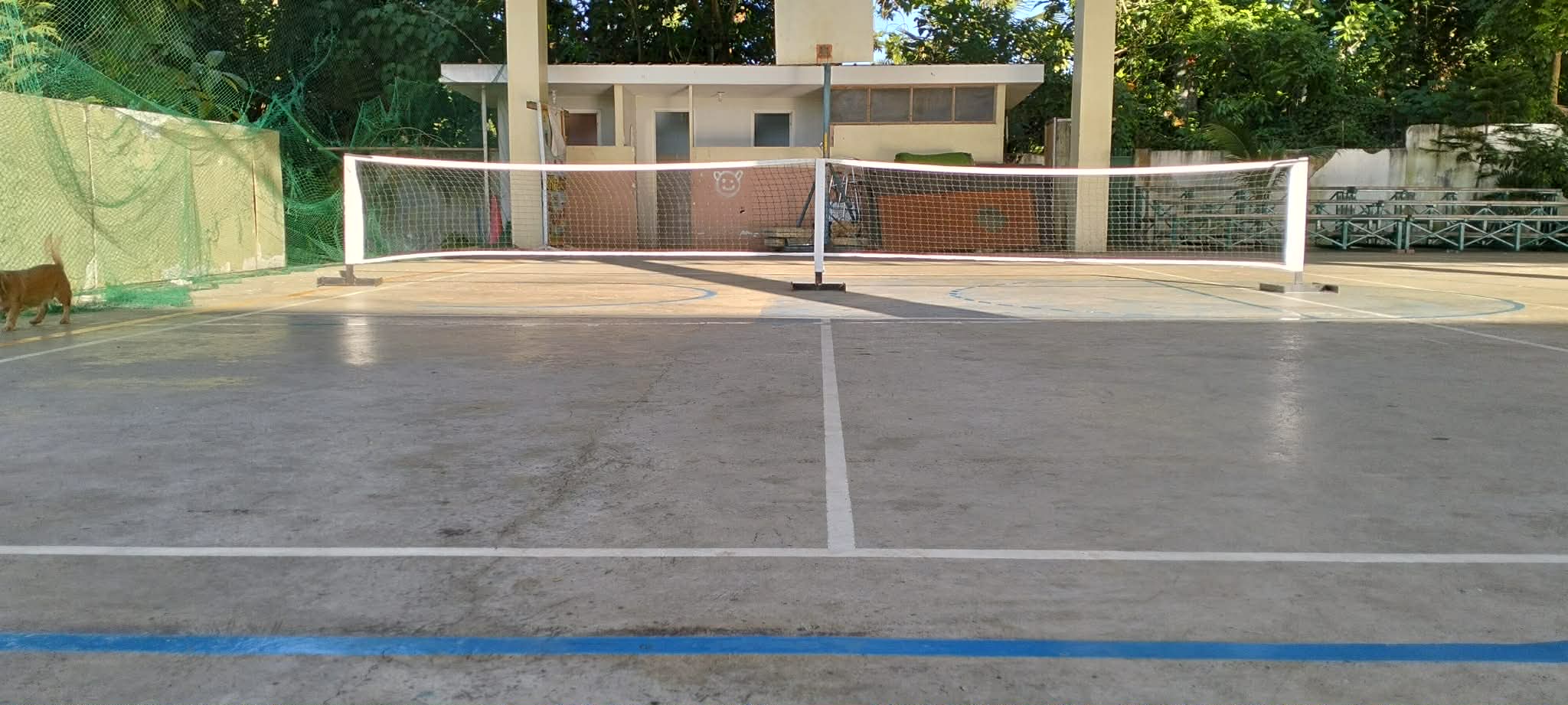 Northview Pickle Ball photo 44